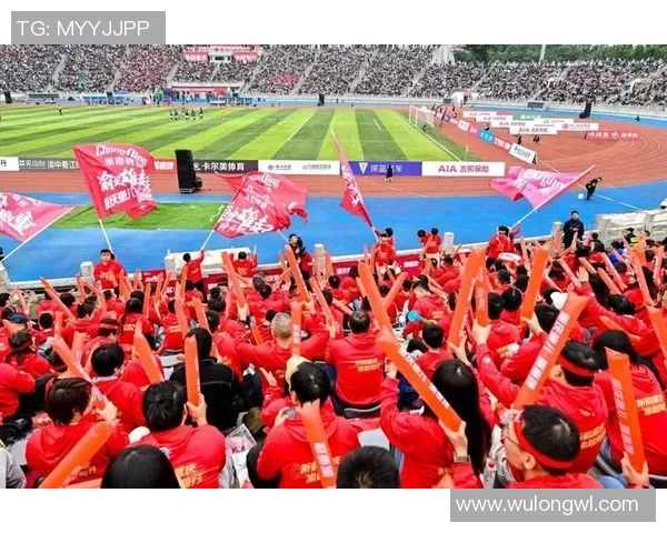 球迷文化的兴起与发展：从激情助威到社交网络时代的粉丝生态