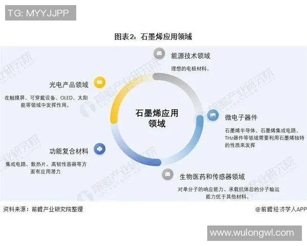 调查分析当前年轻人就业压力及其应对策略的现状与趋势研究