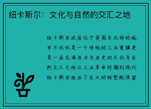 纽卡斯尔：文化与自然的交汇之地