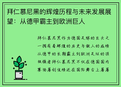 拜仁慕尼黑的辉煌历程与未来发展展望：从德甲霸主到欧洲巨人