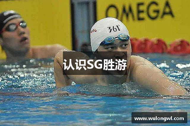 认识SG胜游